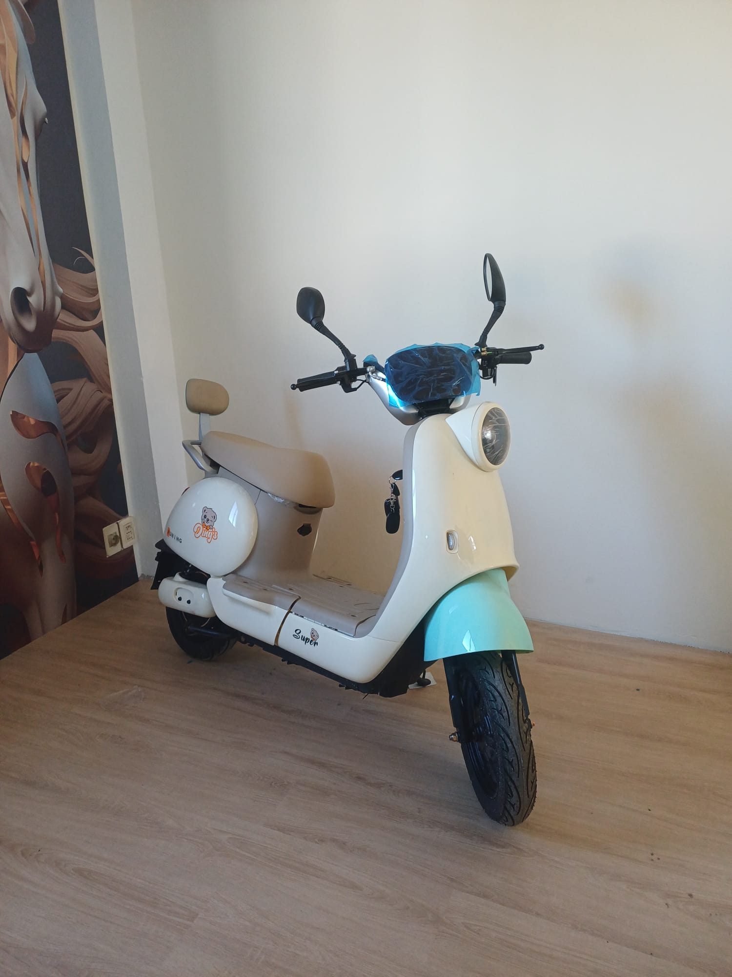 LY 500W en exposición